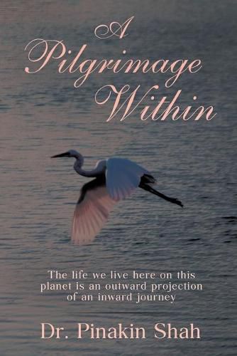 Cover image for A Pilgrimage Within: The life we live here on this planet is an outward projection of an inward journey