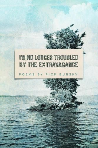 Cover image for I'm No Longer Troubled by the Extravagance