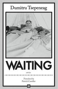 Cover image for Waiting: stories: Stories