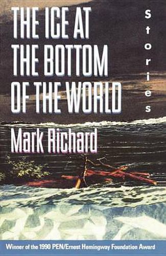 Cover image for The Ice at the Bottom of the World: Stories