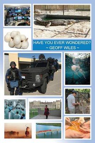 Cover image for Have You Ever Wondered?