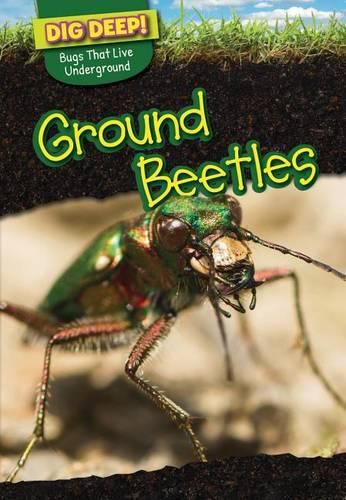 Cover image for Ground Beetles