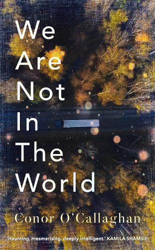 Cover image for We Are Not in the World: 'compelling and profoundly moving' Irish Times