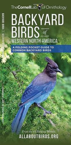 Cover image for Backyard Birds of Western North America: A Folding Pocket Guide to Common Backyard Birds