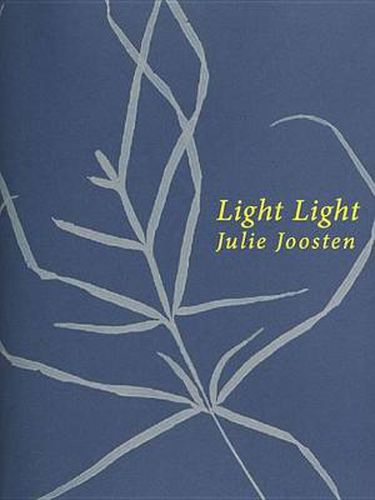 Cover image for Light Light