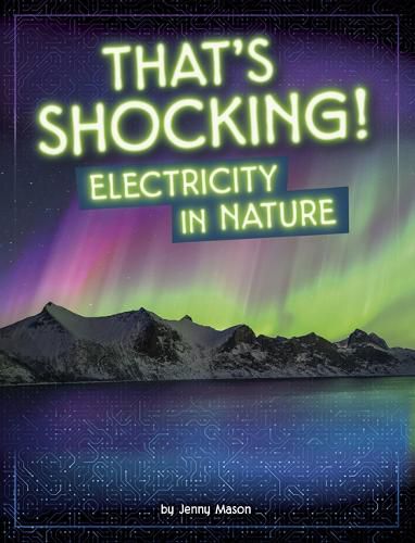 Cover image for That's Shocking!