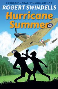 Cover image for Hurricane Summer