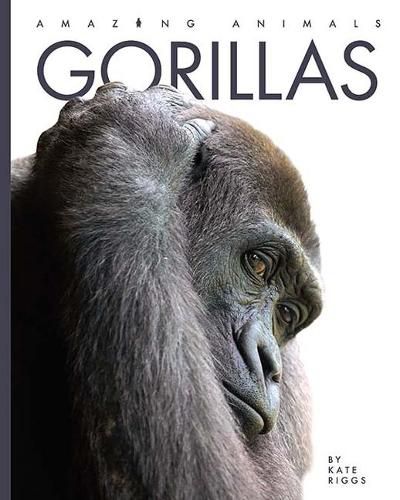 Cover image for Gorillas