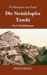 Cover image for Die Steinklopfer / Tambi: Zwei Erzahlungen