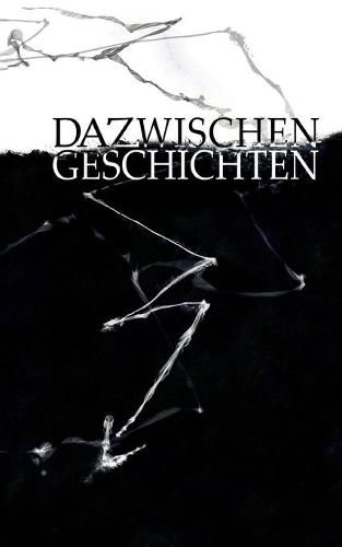 Cover image for Dazwischengeschichten