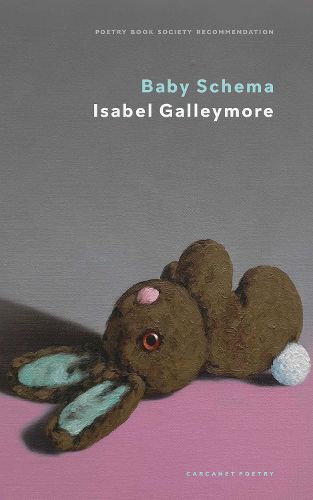 Cover image for Baby Schema