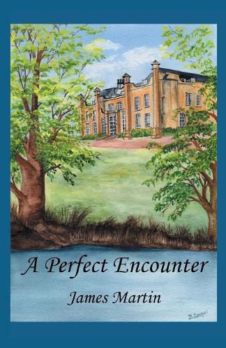 Cover image for A Perfect Encounter