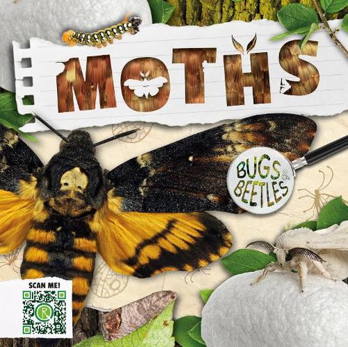 Cover image for Moths