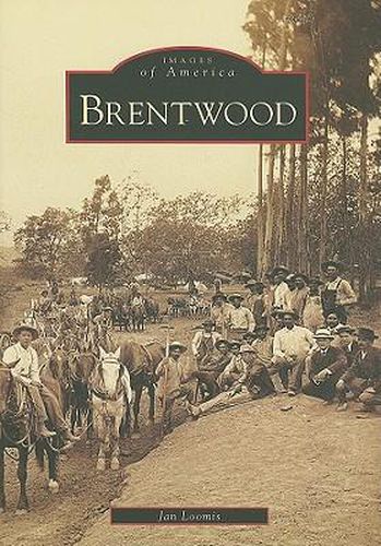 Cover image for Brentwood