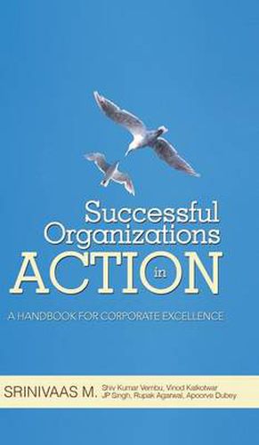 Cover image for Successful Organizations in Action: A Handbook for Corporate Excellence