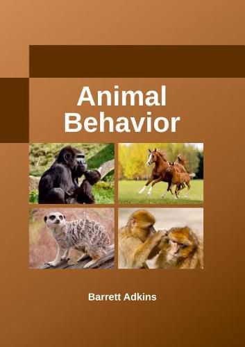 Cover image for Animal Behavior