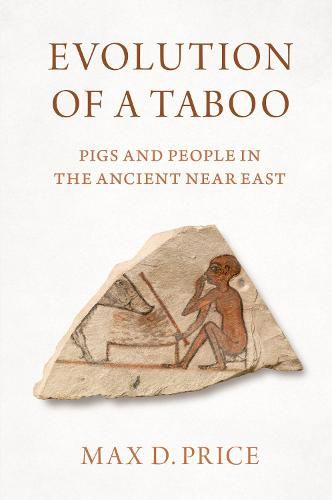 Cover image for Evolution of a Taboo