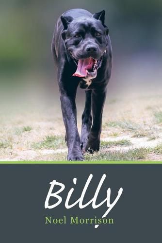 Cover image for Billy