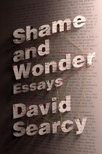 Cover image for Shame and Wonder: Essays