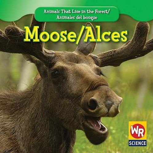 Moose / Alces