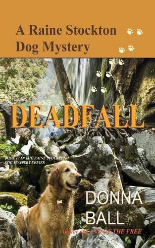 Cover image for Deadfall