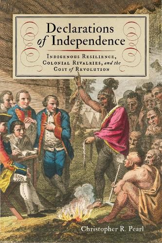 Cover image for Declarations of Independence