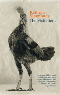 Cover image for The Visitations