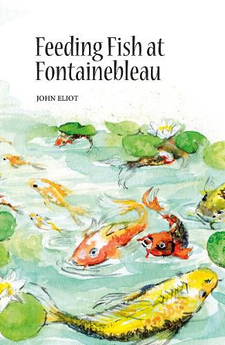 Cover image for Feeding Fish at Fontainebleau