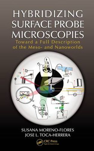 Cover image for Hybridizing Surface Probe Microscopies: Toward a Full Description of the Meso- and Nanoworlds