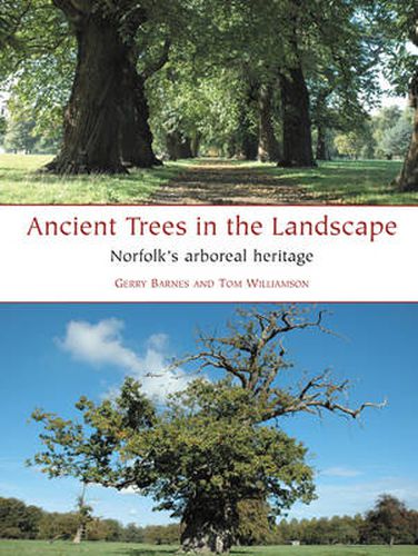 Ancient Trees in the Landscape: Norfolk's arboreal heritage