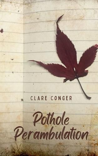 Cover image for Pothole Perambulation