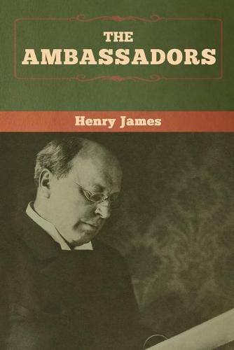 Cover image for The Ambassadors