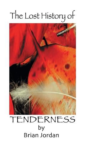 Cover image for The Lost History of Tenderness