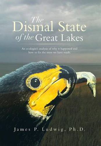 Cover image for The Dismal State of the Great Lakes: An Ecologist's Analysis of Why It Happened, and How to Fix the Mess We Have Made.