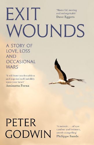 Cover image for Exit Wounds