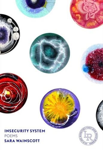 Cover image for Insecurity System: Poems