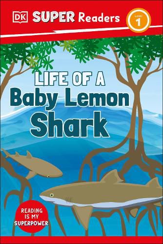 Cover image for DK Super Readers Level 1: Bull Shark