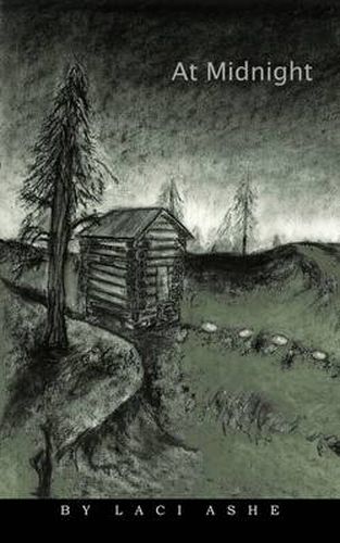 Cover image for At Midnight