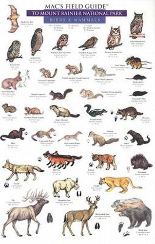 Mac's Field Guides: Mount Rainier National Park Mammals & Birds