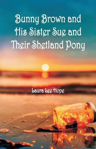 Cover image for Bunny Brown and His Sister Sue and Their Shetland Pony