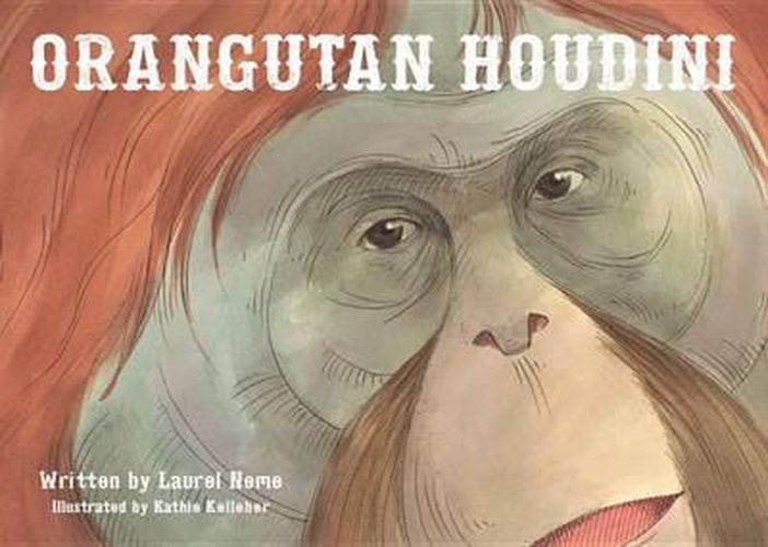 Cover image for Orangutan Houdini