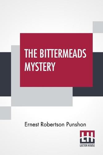 Cover image for The Bittermeads Mystery