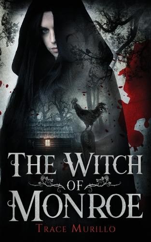 Cover image for The Witch of Monroe