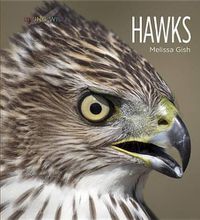 Cover image for Living Wild: Hawks