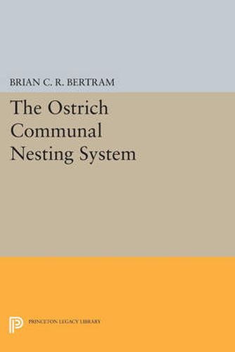Cover image for The Ostrich Communal Nesting System