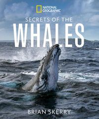 Cover image for Secrets of the Whales