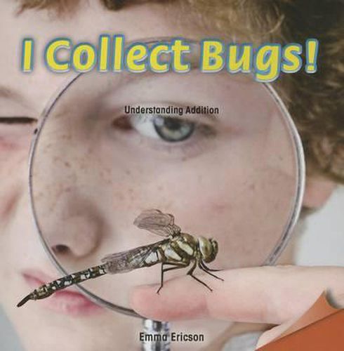 Cover image for I Collect Bugs!: Understanding Addition