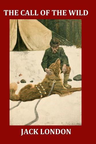 Cover image for The Call of the Wild (Large Print Illustrated Edition): Complete and Unabridged 1903 Illustrated Edition