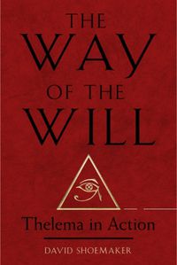 Cover image for The Way of Will