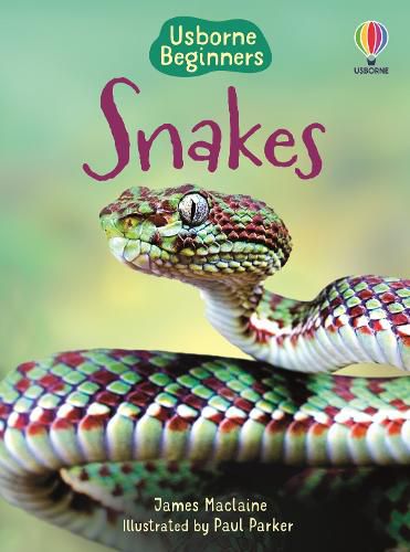 Cover image for Snakes